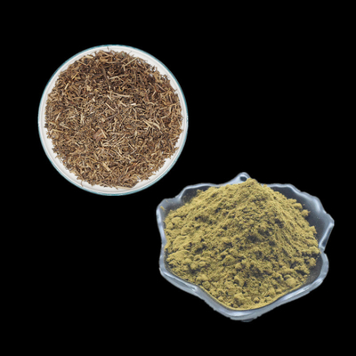 Uso puro della polvere dell'estratto 2% 10% Turkesterone di Turkestanica del Ajuga per culturismo