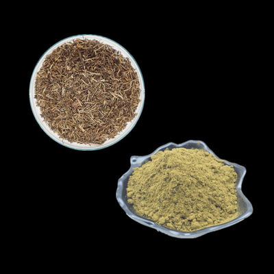 Ajuga Turkestanica di supplemento della polvere dell'estratto di 2% 10% 20% 40% Turkesterone