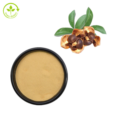 Saponina Camellia Japonica Seed Extract Powder del tè di 60% per l'additivo alimentare