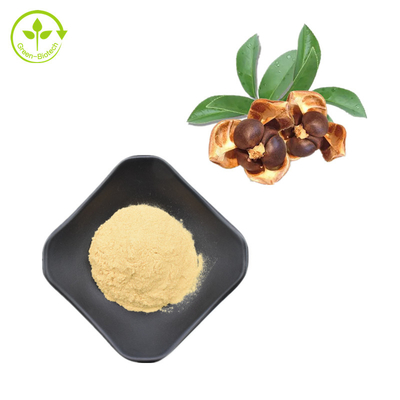 Polvere naturale delle saponine del tè di 100% Camellia Seed Extract 95%