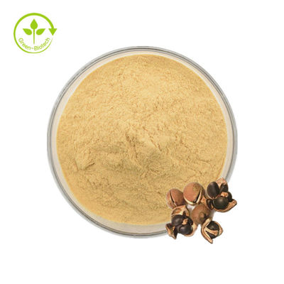Saponina naturale del tè di Camellia Sinensis Seed Extract 98% per alimento
