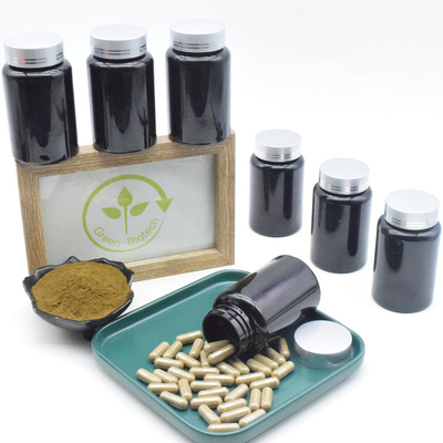 Il Ajuga Turkestanica estrae le capsule di 500mg 10% Turkesterone per il supplemento dei muscoli