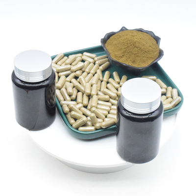 L'estratto di Turkestanica del Ajuga dell'OEM spolverizza le capsule di 2% 10% 500mg Turkesterone