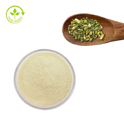 Sophora japonica del rifornimento della fabbrica estrarre la polvere della rutina dell'estratto di sophora japonica della rutina 95%