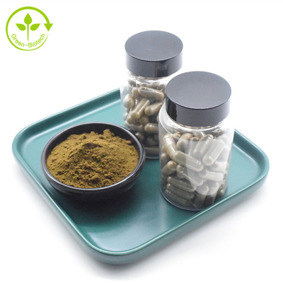 Private Label Natural Ajuga Turkestanica Extract Powder Pure 500mg Turkesterone Capsules