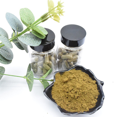 Il Ajuga di erbe Turkestanica dell'estratto estrae la polvere di Turkesterone