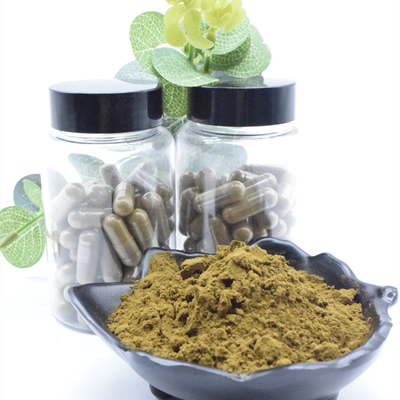Estratto naturale di Turkestanica del Ajuga della polvere 2% 10% 40% di 100% Turkesterone