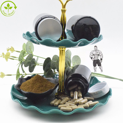 L'estratto organico naturale di Turkestanica del Ajuga spolverizza le capsule di 10% Turkesterone