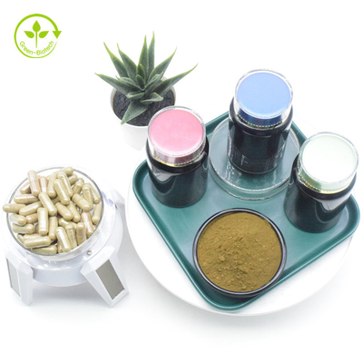 Polvere standardizzata naturale della ciclodestrina 10% 40% Turkesterone di Organic Kosher Ajuga del produttore