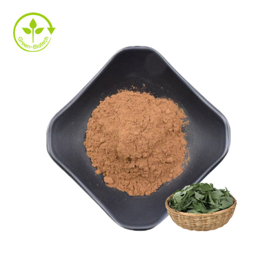 L'epimedium Brevicornum Maxim Epimedium Sagittatum Extract Icariin dell'estratto del Barrenwort della pianta spolverizza l'erbaccia cornea della capra 10%
