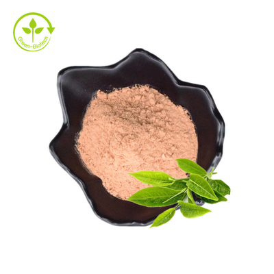 Estratto fresco di 100% e della pianta organico naturale dall'estratto della pianta della foglia per la polvere dell'estratto del tè verde di perdita di peso