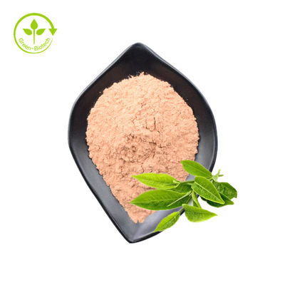 Polveri sfuse della catechina 80% Egcg 60% dei polifenoli 98% dell'estratto della foglia di tè di verde del commestibile
