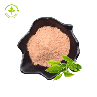 Polvere di qualità standard dell'estratto del tè verde dell'affare con portato organicamente alla vendita dai prezzi bassi indiani degli esportatori