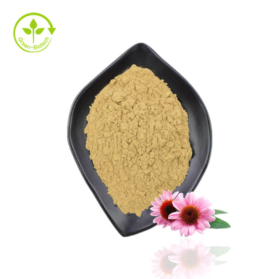 Estratto di echinacea di alta qualità Purpurea Estratto di echinacea organico in polvere