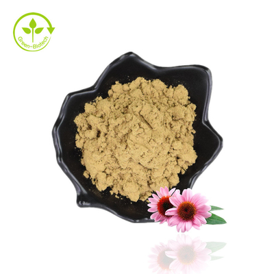 Bulk 4% Estratto di polifenoli Echinacea Purpurea in polvere Estratto di echinacea viola