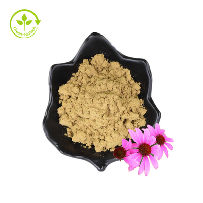 Estratto di semi di fiori di polvere secca di polifenoli organici Estratto di echinacea purpurea