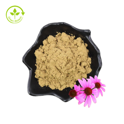 Echinacea Purpurea Estratto Echinacea Estratto Acido cicorico al 4%