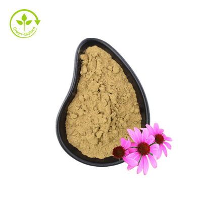 Estratto biologico di Echinacea purpurea Estratto di radice di Echinacea