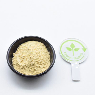 Supplemento per la salute 99% Estratto di radice di ginseng in polvere per il ginseng