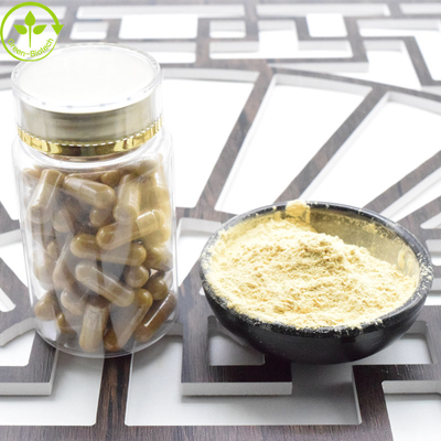 Estratto vegetale naturale Ginseng americano secco in polvere 30% Ginsenosidi