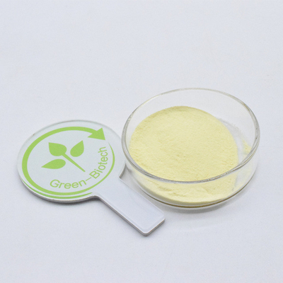Fornitura di fabbrica all'ingrosso Estratto naturale 100% di radice di kava polvere gialla fine