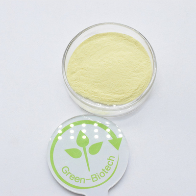 Fornitura di fabbrica Grado alimentare 30% 50% Kavalactone Kava Radice Estratto in Polvere