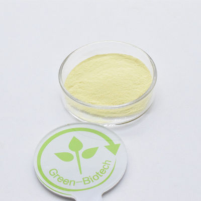 Grado alimentare Estratto di radice di kava gialla Estratto di kava in polvere 30% Kavalactoni