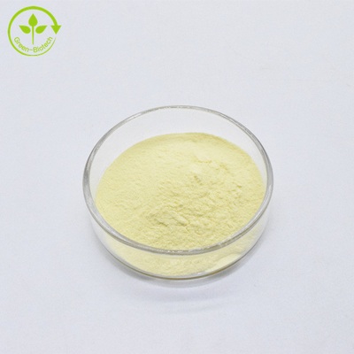 Ingrosso Estratto di kava naturale organico al 30% in polvere Estratto di kava kavalactone
