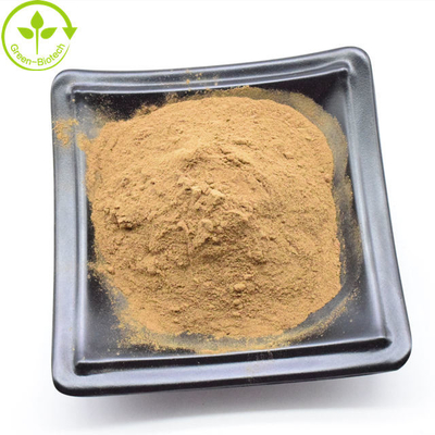 Ingrosso Dendrobium Nobile Extract in polvere giallo marrone 20:1 a sfera