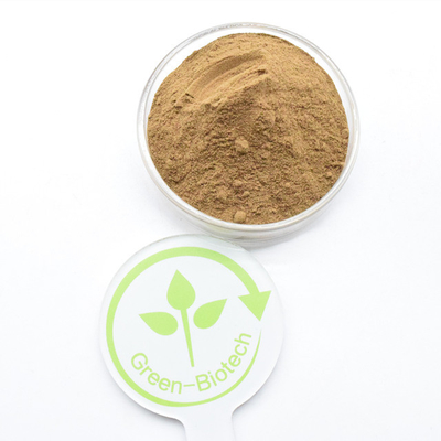 Grado alimentare 100% naturale 10:1 5:1 20:1 Dendrobium extract in polvere