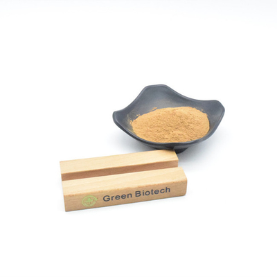 Estratti di piante naturali all'ingrosso Best Price Maca Extract Powder per il trattamento dei capelli