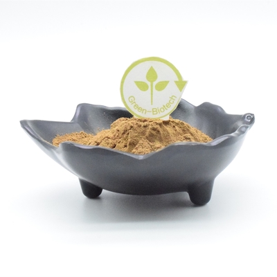 L'estratto della pianta della polvere dell'estratto di Turkestanica del Ajuga del body building spolverizza 500mg 750mg 1000mg