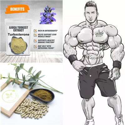 estratti naturali della pianta di 500mg Turkestanica