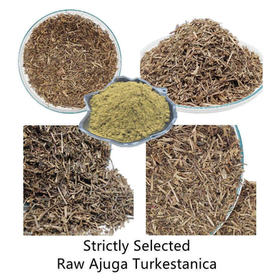 estratti naturali della pianta di 500mg Turkestanica