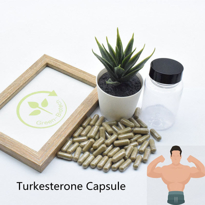 Il Ajuga Turkestanica di 2% 10% completa gli estratti naturali della pianta di Ecdysteroid