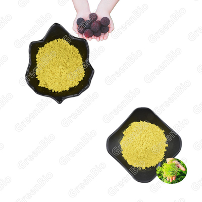 Polvere di estratto vegetale di corteccia di frutta Bayberry miricetina 98%