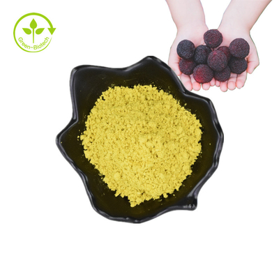 Polvere di estratto vegetale di corteccia di frutta Bayberry miricetina 98%