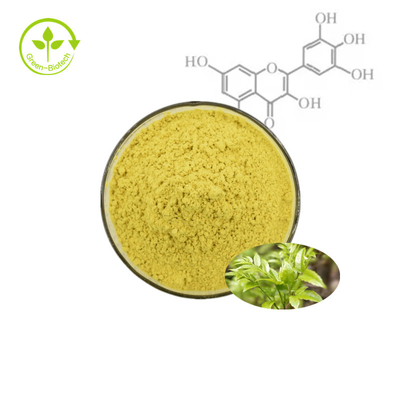 Polvere di estratto vegetale di corteccia di frutta Bayberry miricetina 98%