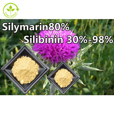 Estratto vegetale di cardo mariano in polvere 80% silimarina commestibile