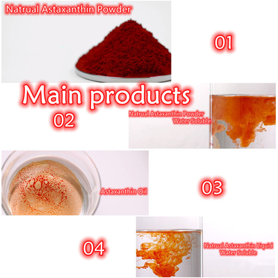 CAS 7542-45-2 polvere dell'astaxantina 1% - 10% per cure sane