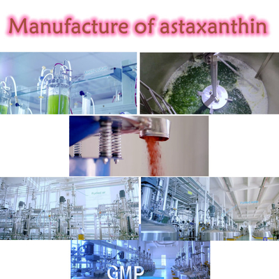 CAS 7542-45-2 polvere dell'astaxantina 1% - 10% per cure sane
