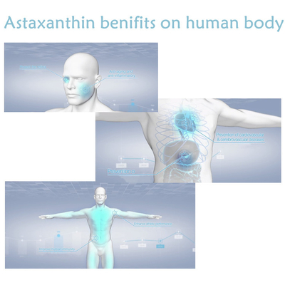 CAS 7542-45-2 polvere dell'astaxantina 1% - 10% per cure sane