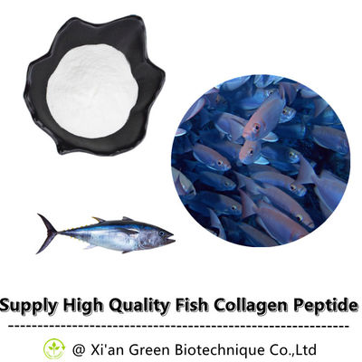 Peptide puro di vendita caldo del collagene del pesce spolverizzare il peptide profondo del collagene del pesce di mare