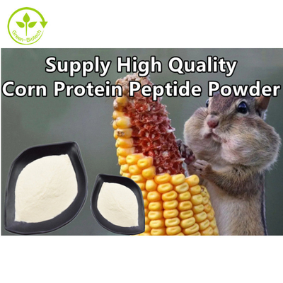 Polvere naturale del peptide del cereale di alta qualità di sostegno del peptide della proteina del cereale dell'estratto della pianta