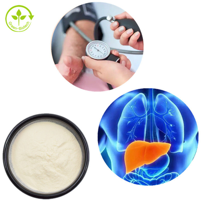 Polvere naturale del peptide del cereale di alta qualità di sostegno del peptide della proteina del cereale dell'estratto della pianta