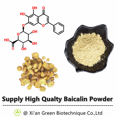 No. verde di Baicalin 80% 85% 90% 98% CAS dell'estratto di zucchetto di Baical di elevata purezza del rifornimento di Biotech: 21967-41-9