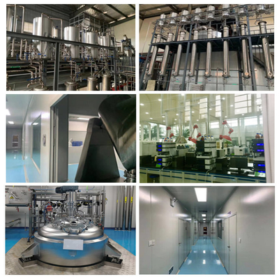 No. verde di Baicalin 80% 85% 90% 98% CAS dell'estratto di zucchetto di Baical di elevata purezza del rifornimento di Biotech: 21967-41-9