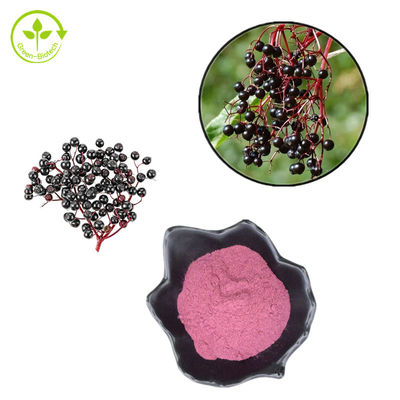 polvere 25kg/Drum della composizione nell'estratto della bacca di sambuco di 25% - di 1% per il prodotto sano di cura