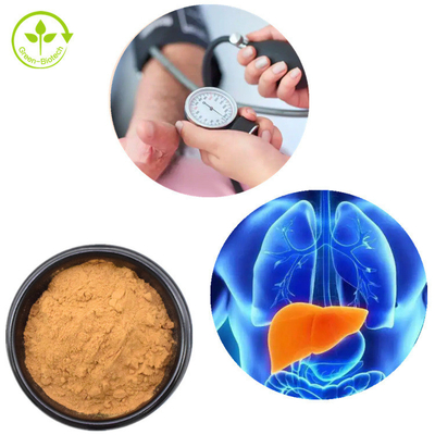 Polvere 30% del fungo di Mane Mycelium Extract Hericium Erinaceus dei leoni