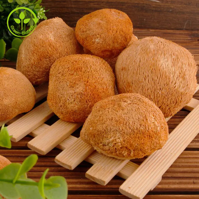 Polvere 30% del fungo di Mane Mycelium Extract Hericium Erinaceus dei leoni